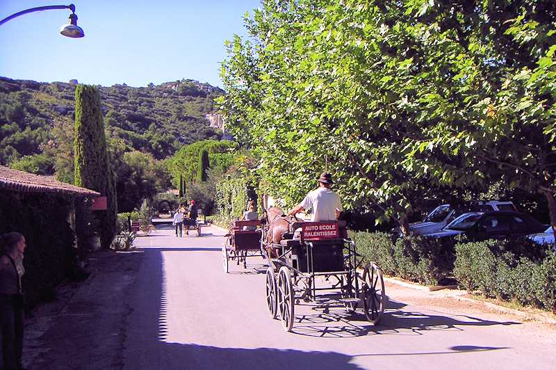 Cabro d'Or