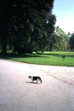 Fontainebleau