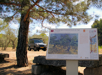 Saint-Rémy-de-Provence