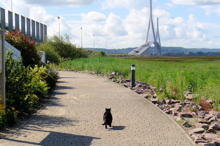 Pont de Normandie